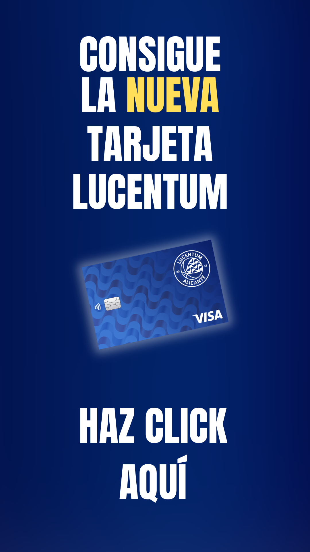 Banner VISA 2